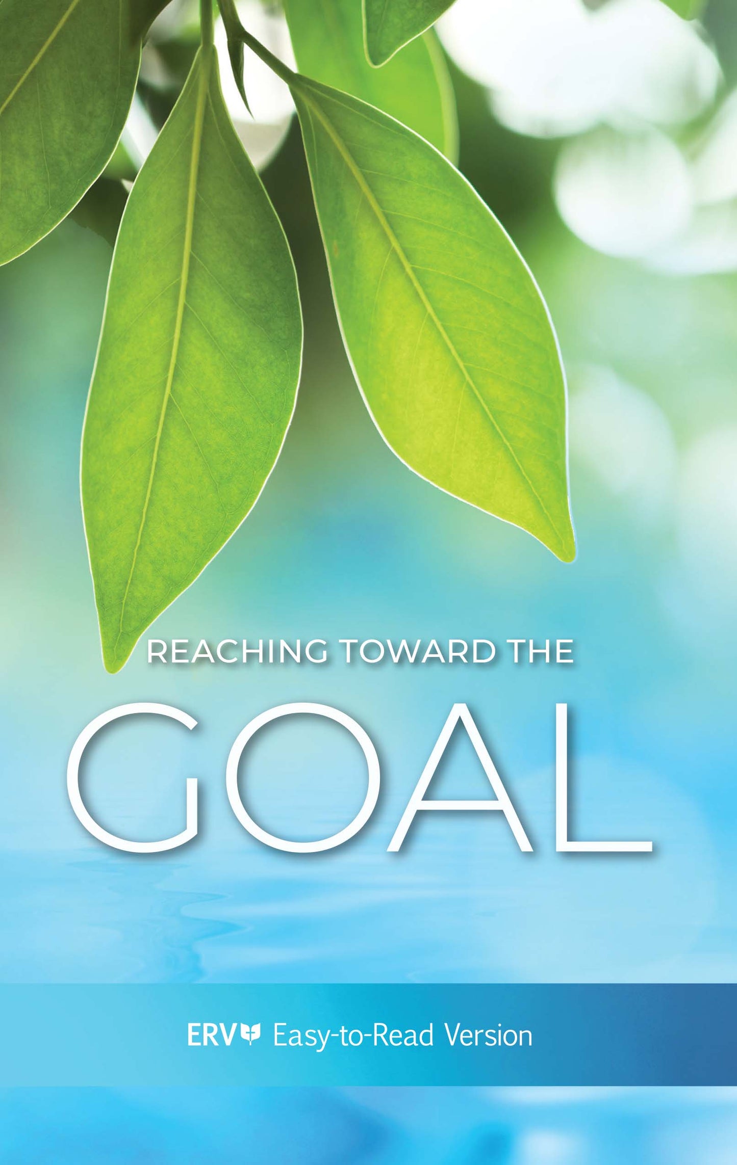 Reaching Towards the Goal - English Cover