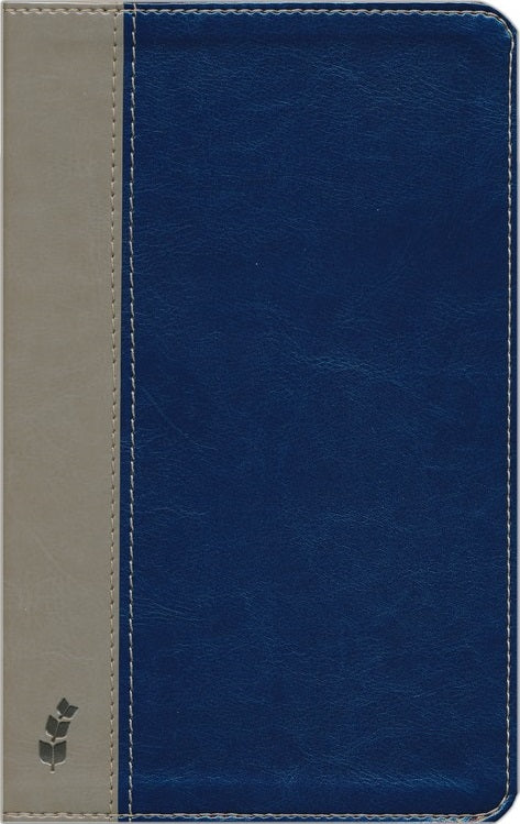ERV Duotone Bible, Blue/Grey - English Cover