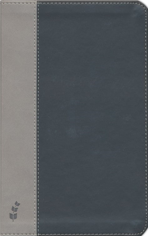 ERV Duotone Bible, Black/Grey - English Cover