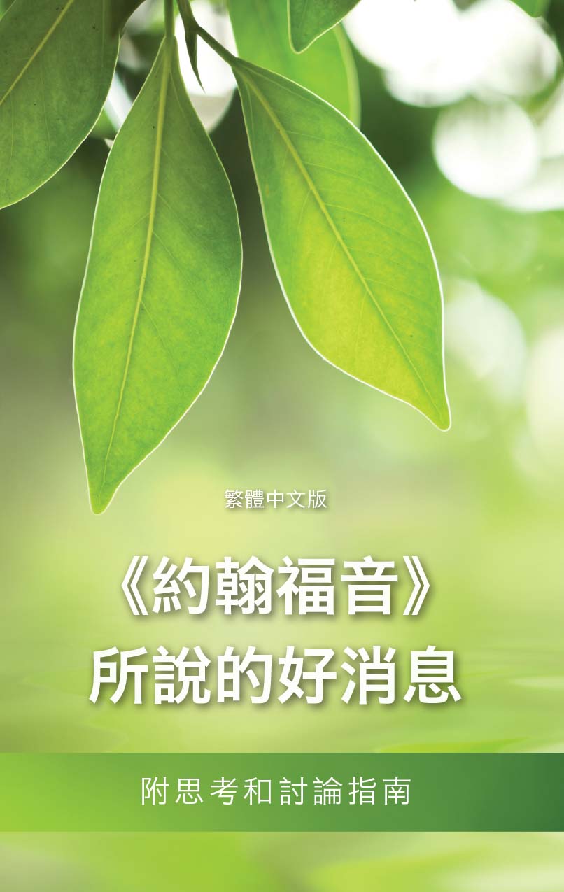 ERV Gospel of John - Chinese Cover