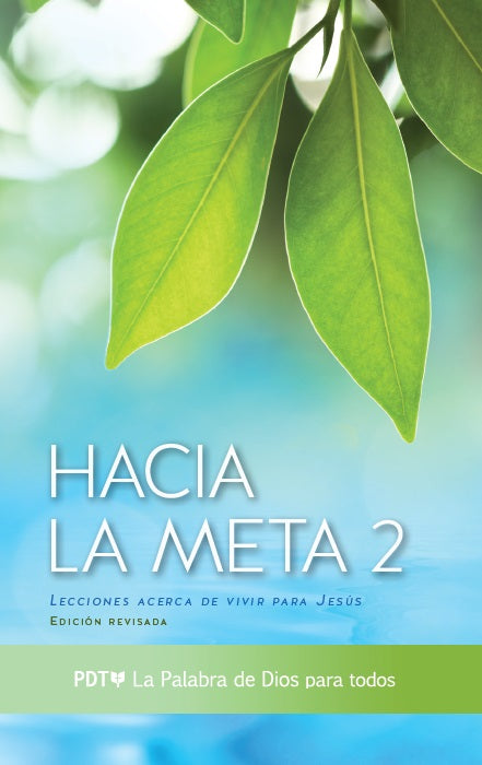 Reaching Towards the Goal Book 2 - Spanish Cover