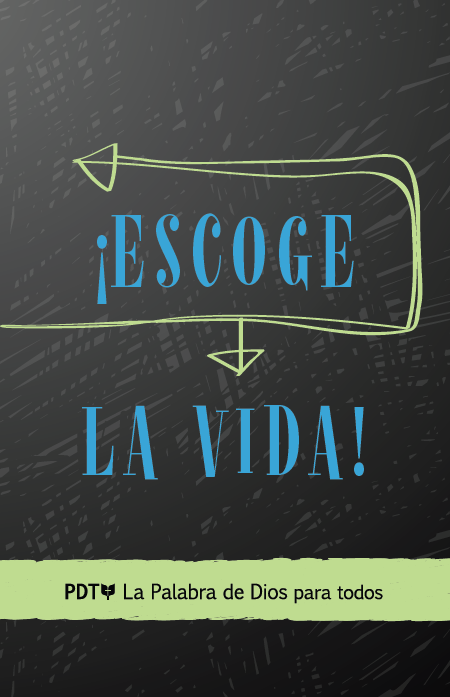 So Choose Life - Spanish Cover