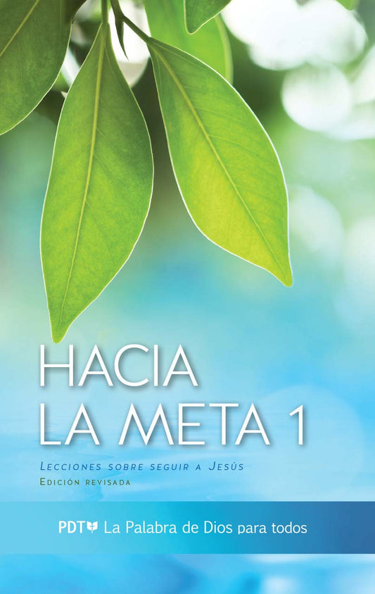 Reaching Towards the Goal Book 1 - Spanish Cover