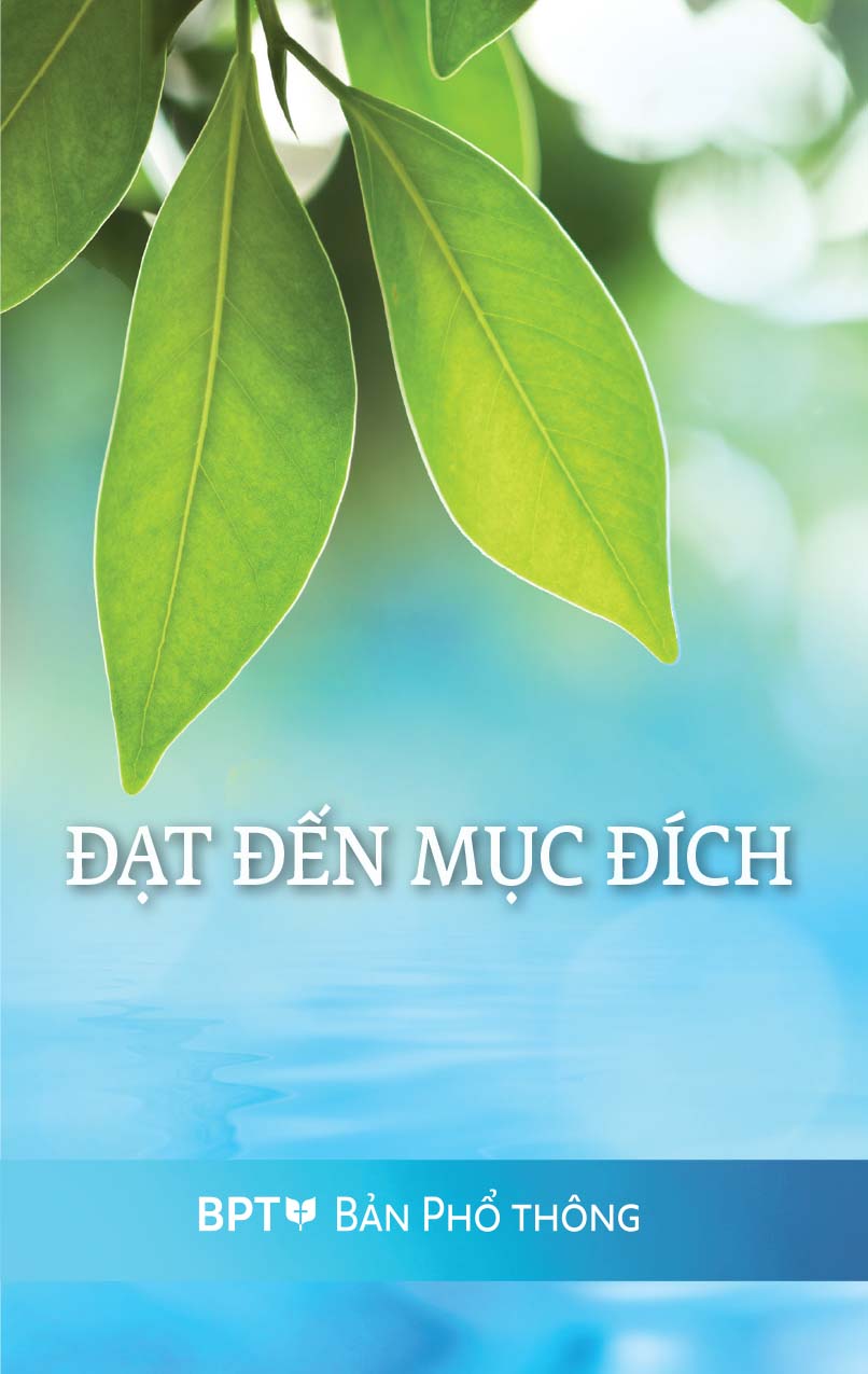 Reaching Towards the Goal - Vietnamese Cover